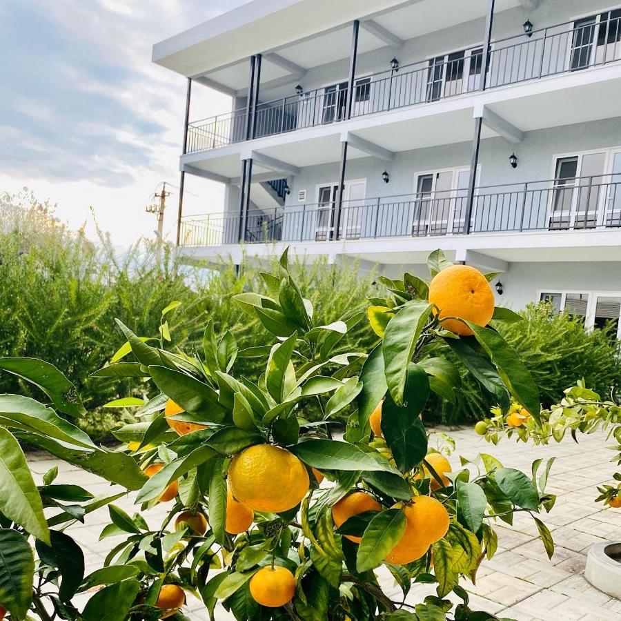 Hotel Mandarin Pitsunda Dış mekan fotoğraf